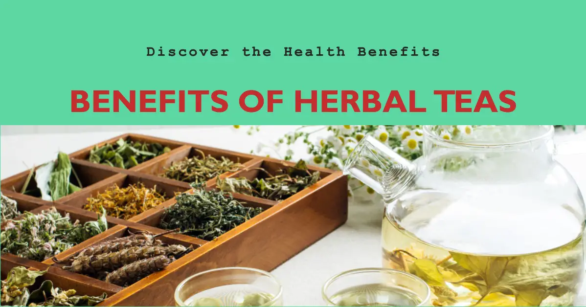 5 Health Benefits of Herbal Teas: Your Way to a Healthier Life