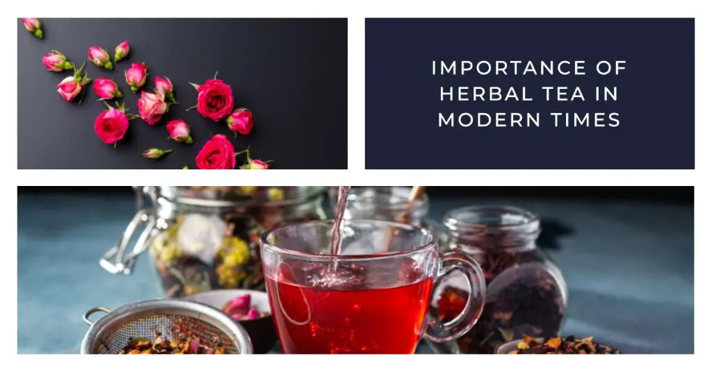 Importance of Herbal Tea in Modern Times