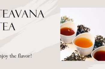 Best Teavana Tea: 17 Deliciously Refreshing Flavors