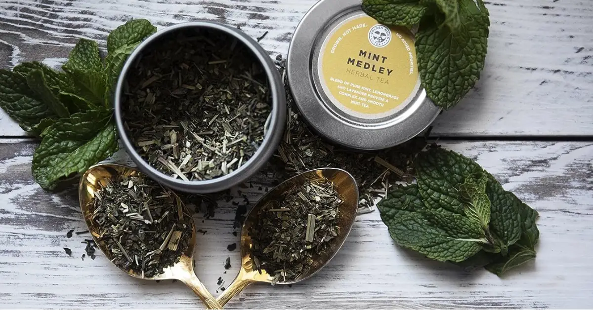 What is Loose Leaf Tea: The Ultimate Guide For Tea Lovers
